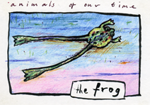 the frog