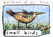 small birds