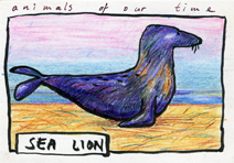 sea lion