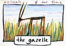 the gazelle